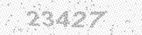 12316