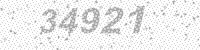 23810