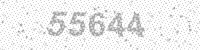 44533