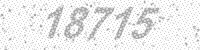 07604