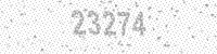 12163