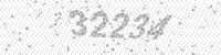21123