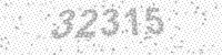 21204