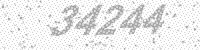 23133