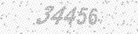 23345