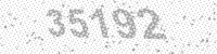 24081