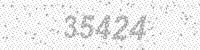 24313
