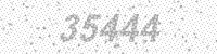 24333