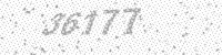 25066