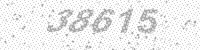 27504