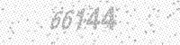 55033