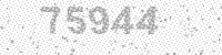 64833