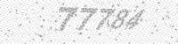 66673