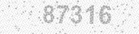 76205